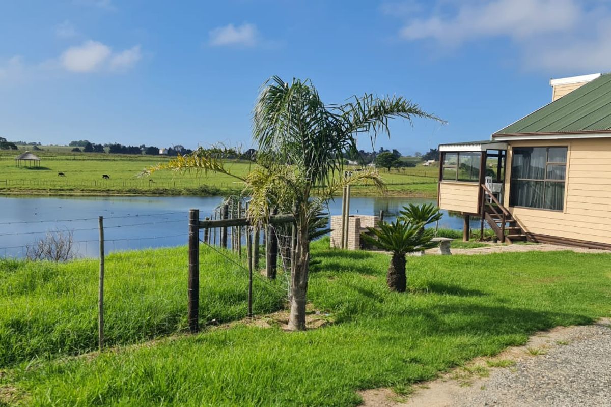 Rear view of a farm dwelling featuring timber cladding, a green corrugated roof, and a raised deck overlooking a private dam and pasture.