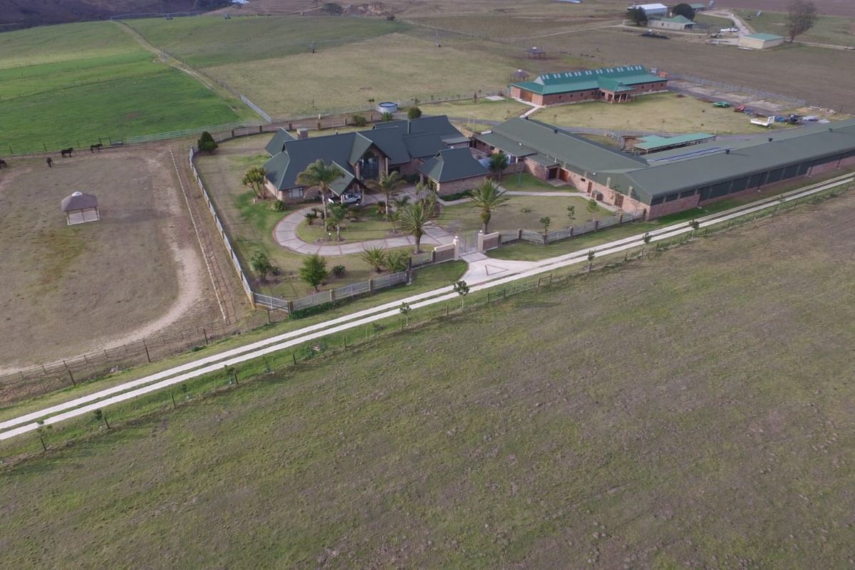 Aerial view of a large farm property featuring a main residence, extensive outbuildings, fenced paddocks, and a long paved driveway.