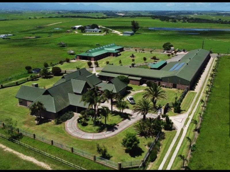 Aerial view of a large farm property featuring multiple buildings with green metal roofs, extensive grounds, and a paved driveway.