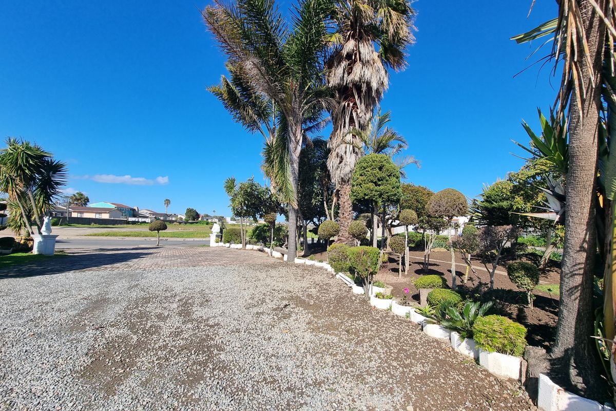 A well-maintained garden area featuring a gravel driveway, paved borders, and mature palm trees on a residential property.
