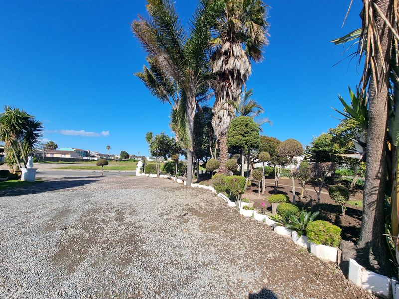 A well-maintained garden area featuring a gravel driveway, paved borders, and mature palm trees on a residential property.