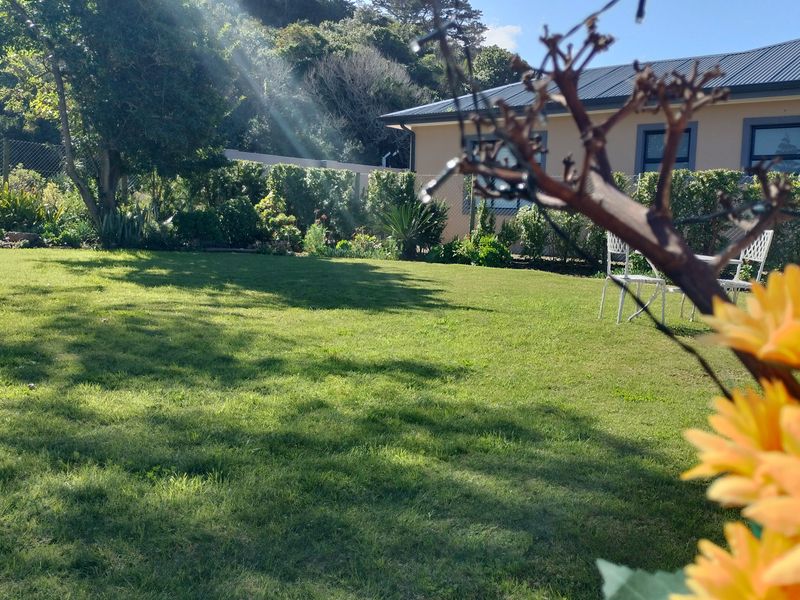 A well-maintained garden area featuring a lush green lawn, established hedging, and perimeter fencing, providing a private outdoor space.