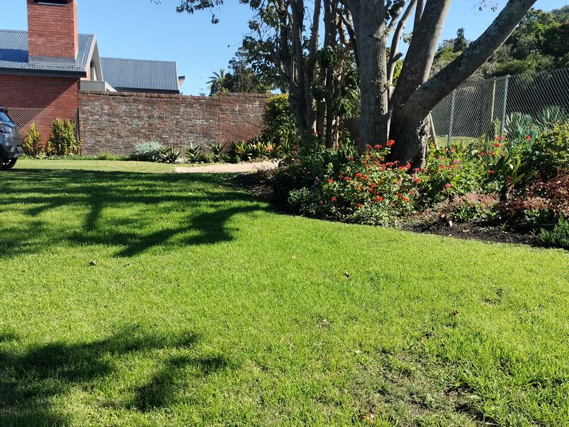 A well-maintained garden area featuring a lush lawn, mature trees, landscaped flower beds, and a brick boundary wall.