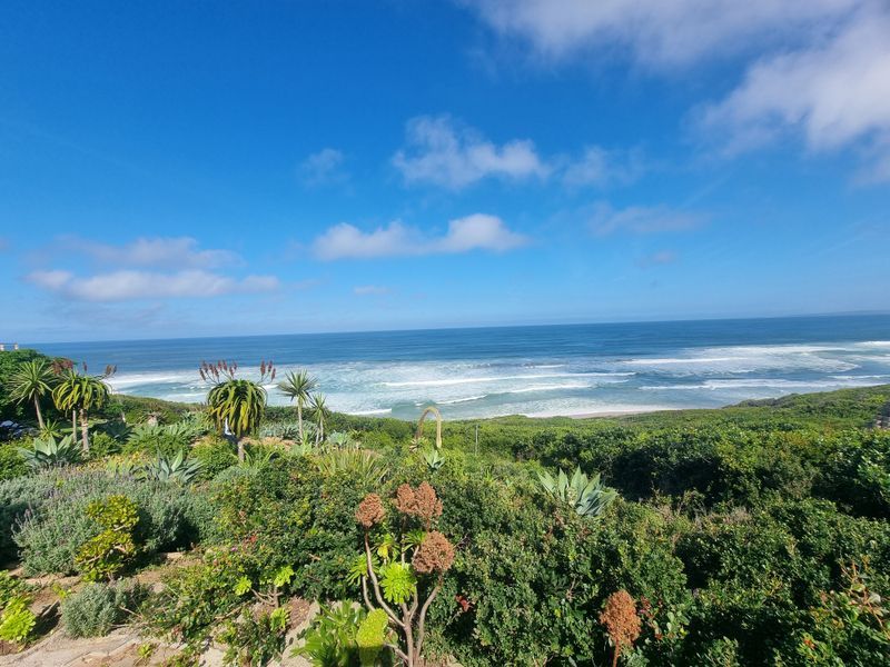 A scenic elevated view overlooking the coastline, featuring lush coastal vegetation and an expansive ocean horizon.