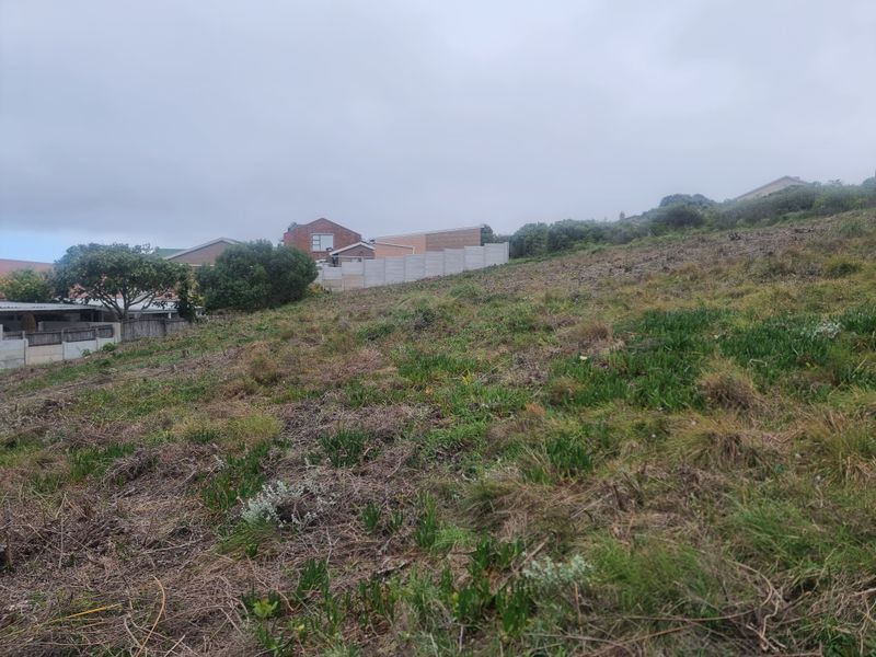 A view of a vacant residential plot featuring a sloped landscape and existing boundary walling in a developed neighborhood.