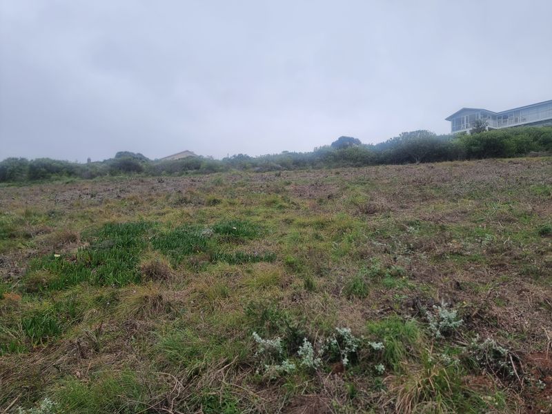 A view of a vacant residential plot featuring natural vegetation and a gentle slope, suitable for future development.