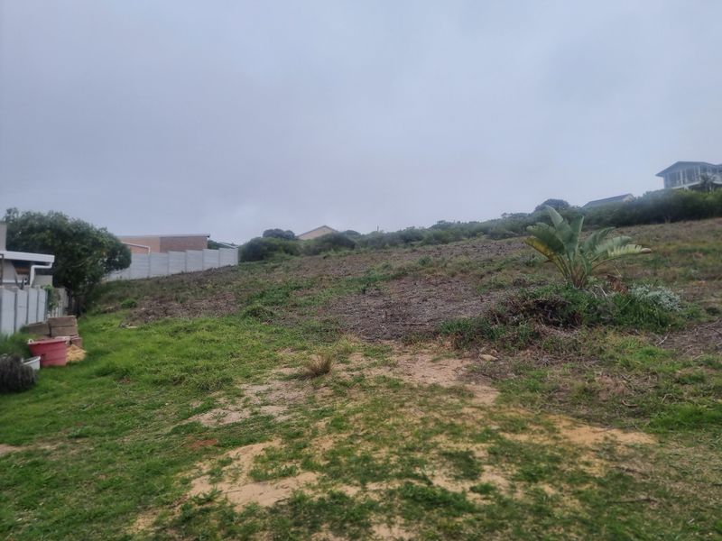 A sloped vacant residential plot featuring natural vegetation and a precast concrete boundary wall, offering potential for future development.