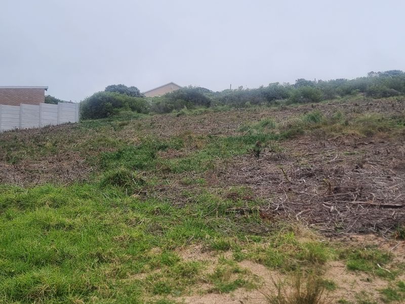 A view of a vacant residential plot featuring natural vegetation and a precast concrete boundary wall on the side.