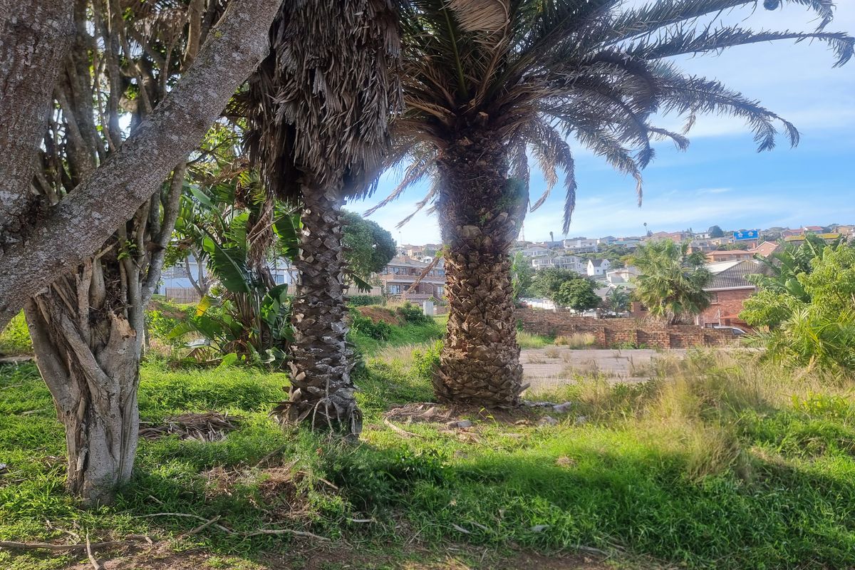 A view of a vacant residential plot featuring mature palm trees, overgrown grass, and a partial brick boundary wall.