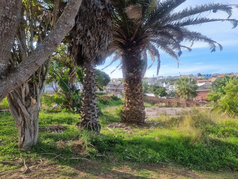A view of a vacant residential plot featuring mature palm trees, overgrown grass, and a partial brick boundary wall.