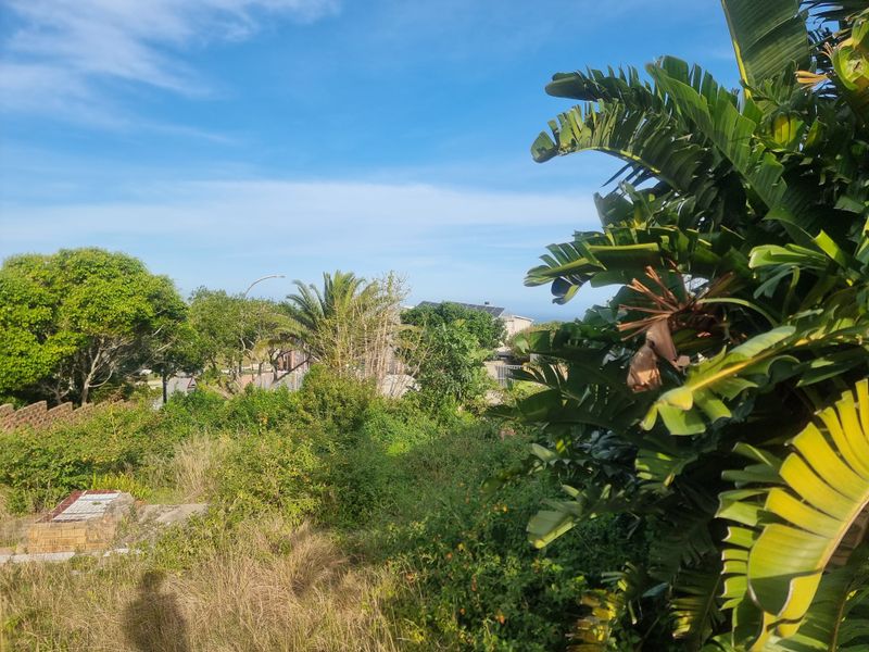 A view of a residential plot featuring established greenery, mature trees, and a small brick retaining structure.
