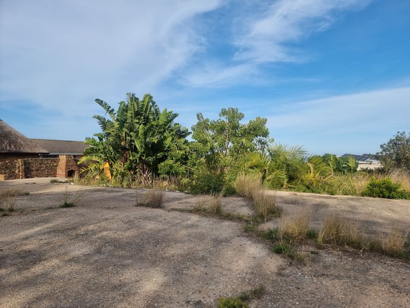 A view of a paved area with overgrown vegetation and a partial view of a brick structure with a thatched roof.