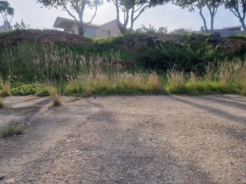 A view of a vacant residential plot featuring a paved driveway area and a sloped, overgrown embankment leading up to the property boundary.