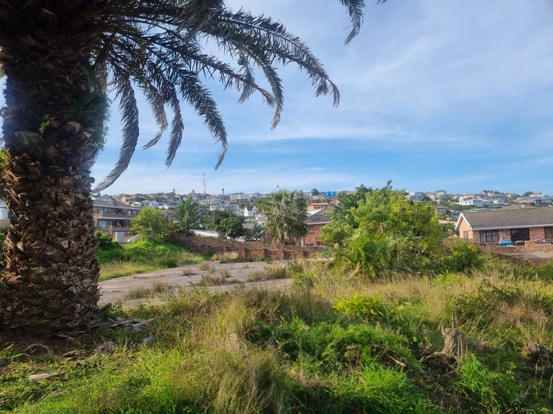 A vacant residential plot featuring a mature palm tree, a concrete driveway, and a brick retaining wall, situated in a developed neighborhood.