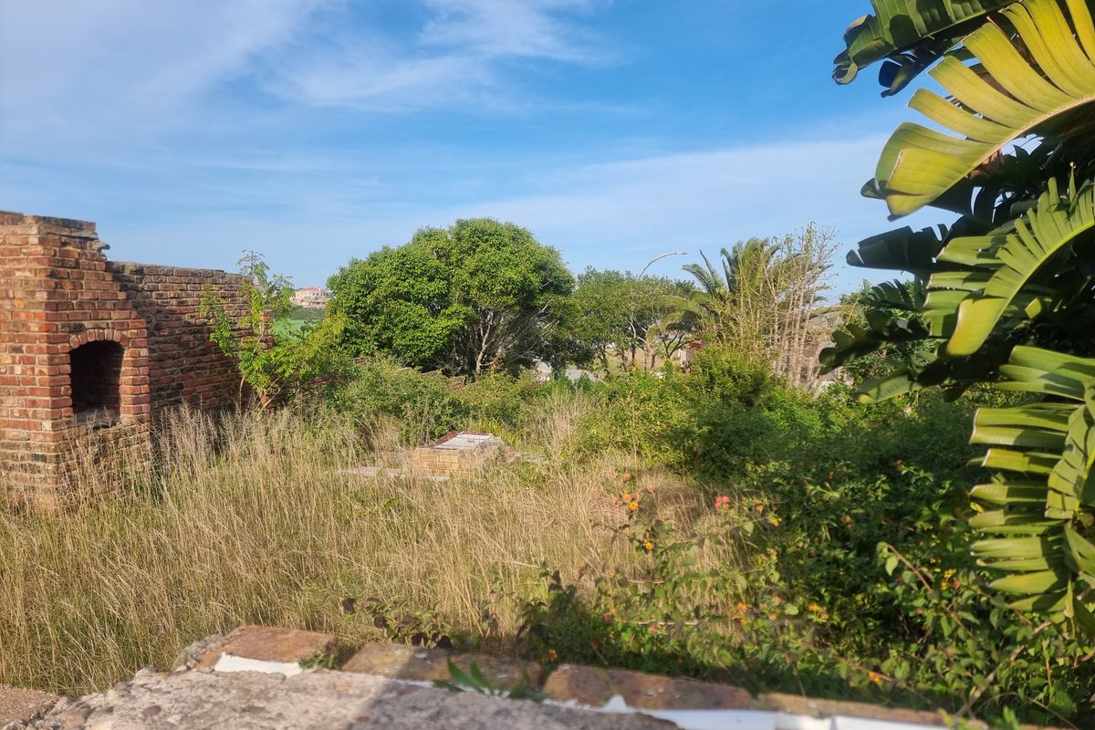 An overgrown residential plot featuring remnants of a brick structure and dense natural vegetation.