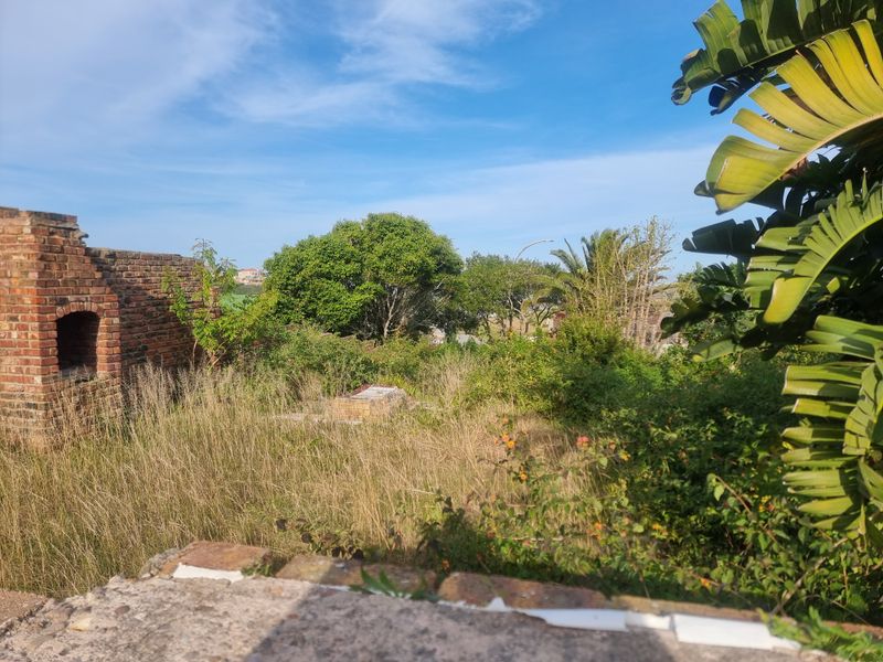 An overgrown residential plot featuring remnants of a brick structure and dense natural vegetation.