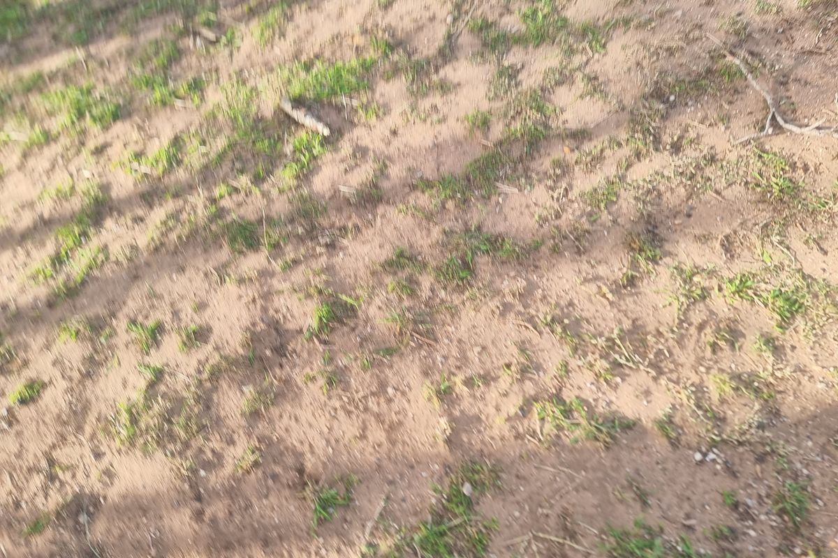 A view of the vacant residential land surface showing natural soil and sparse grass coverage.