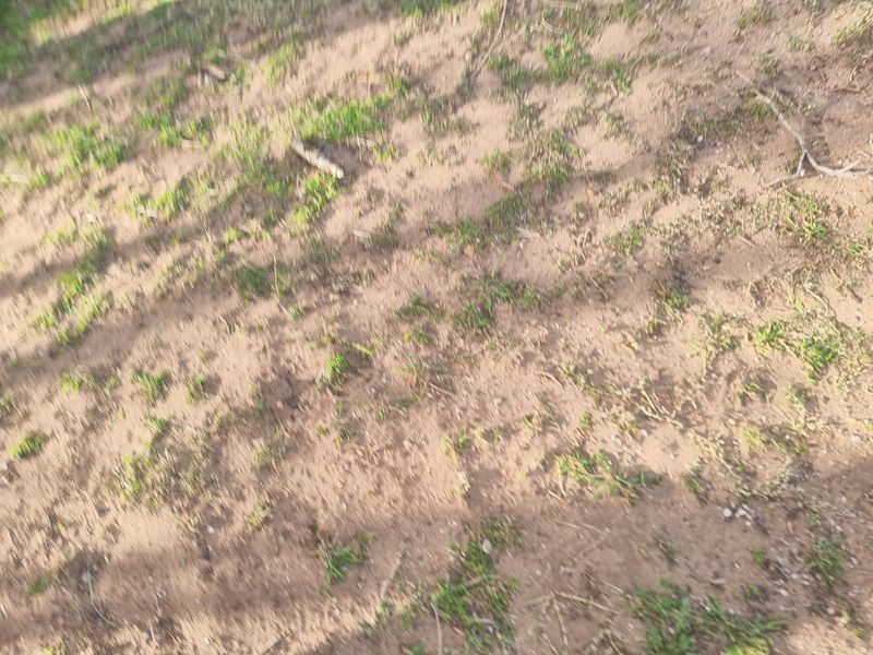 A view of the vacant residential land surface showing natural soil and sparse grass coverage.