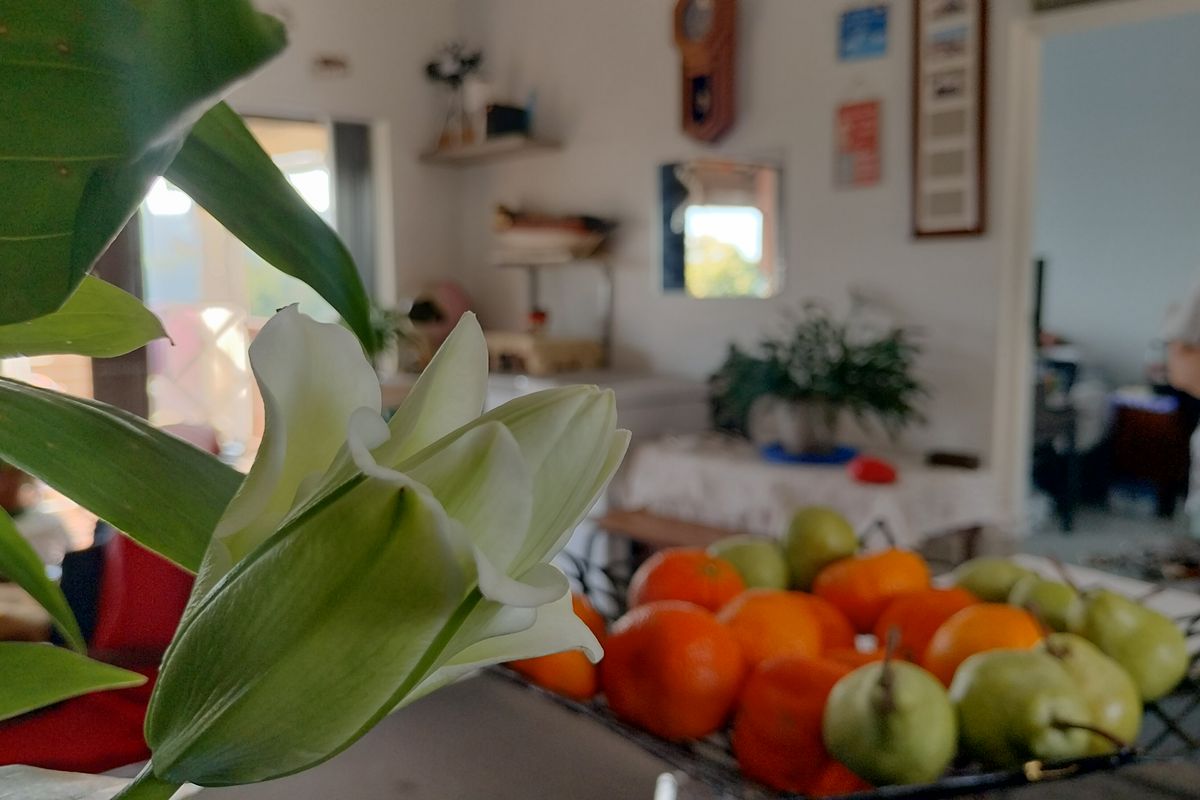A close-up interior shot focusing on a flower in the foreground with a blurred living area in the background.