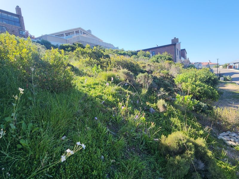 A view of a sloped residential vacant land plot featuring natural vegetation, adjacent to a paved street in a developed neighborhood.