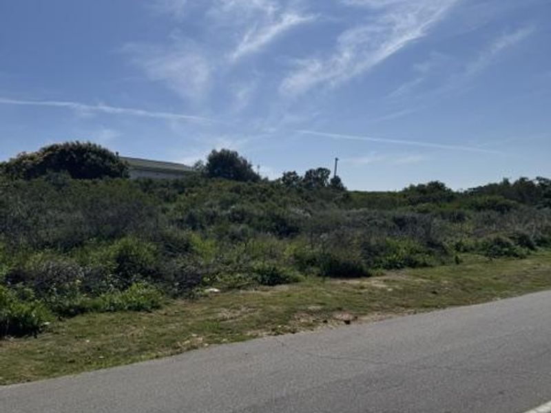 A view of an undeveloped residential plot of land featuring native vegetation, adjacent to an asphalt road.