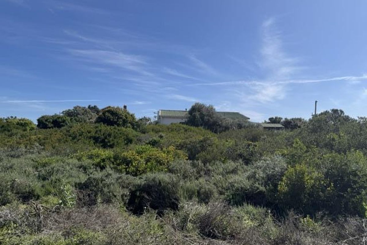A view of a vacant residential plot featuring dense native vegetation and fynbos, with a distant building visible in the background.