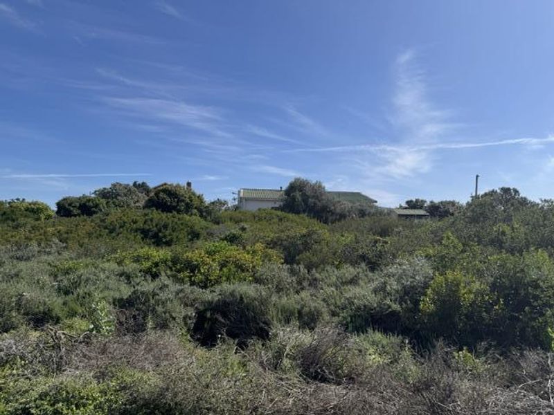 A view of a vacant residential plot featuring dense native vegetation and fynbos, with a distant building visible in the background.