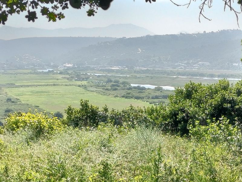 A scenic elevated view overlooking a lush green valley, wetlands, and distant rolling hills.