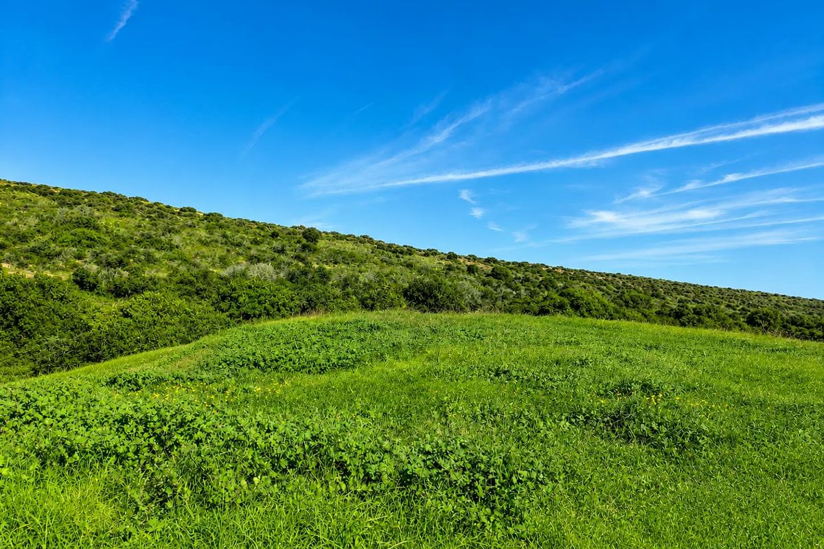 A scenic view of a lush green, sloped landscape under a clear blue sky, showcasing the natural terrain of the vacant residential property.