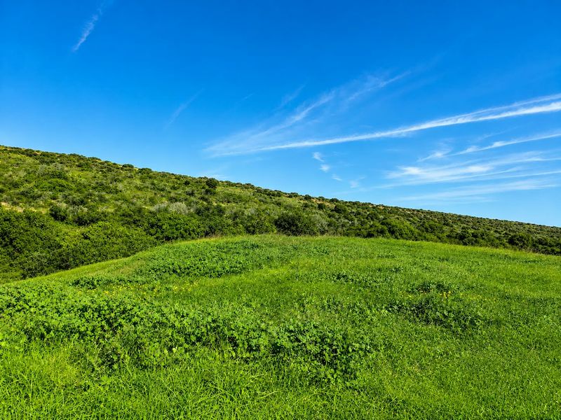 VACANT LAND WITH SPECTACULAR SEA VIEWS IN DE BAKKE, MOSSEL BAY - Photo 2