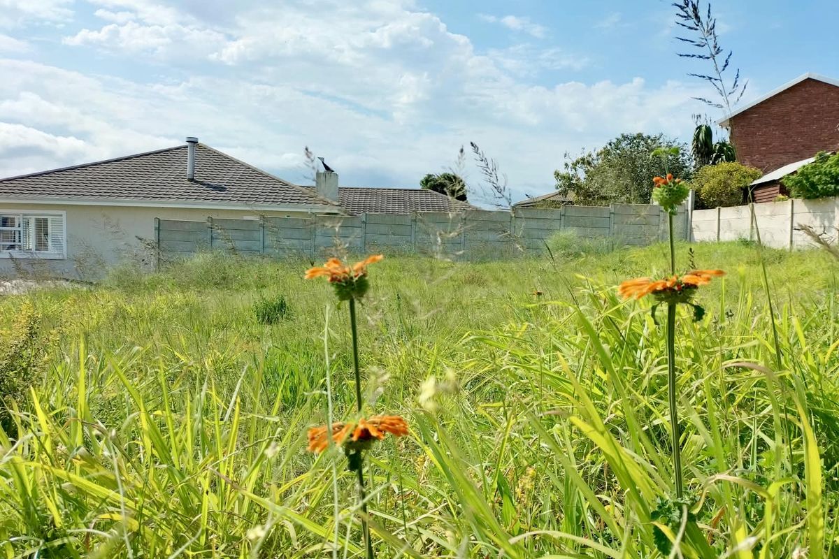 A vacant residential plot featuring overgrown grass and a precast concrete boundary wall, situated in a established neighborhood.