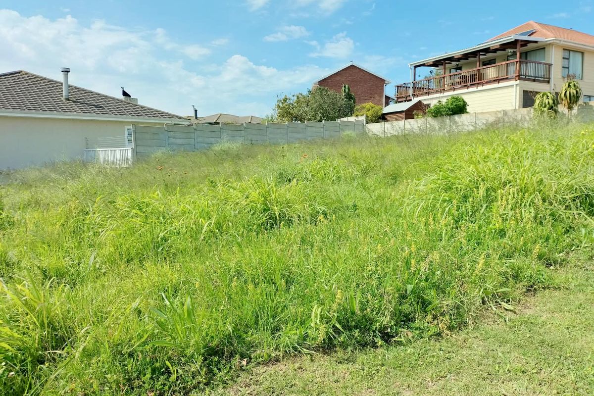 A vacant residential plot featuring overgrown grass and a precast concrete boundary wall, situated in a developed neighborhood.