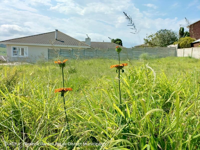 A vacant residential plot featuring overgrown grass and a precast concrete boundary wall, with a neighboring tiled roof house visible in the background.