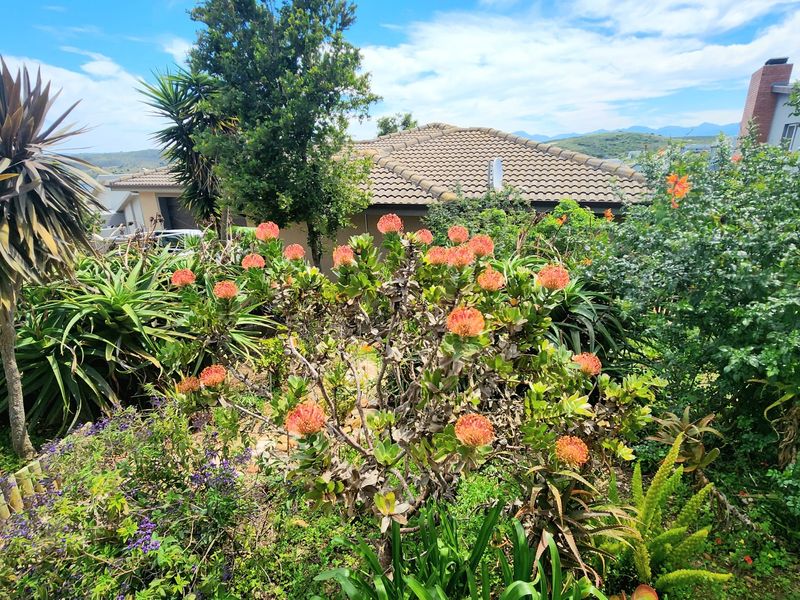 A well-established garden featuring mature protea bushes and diverse greenery, with a view of the property's tiled roof and chimney in the background.