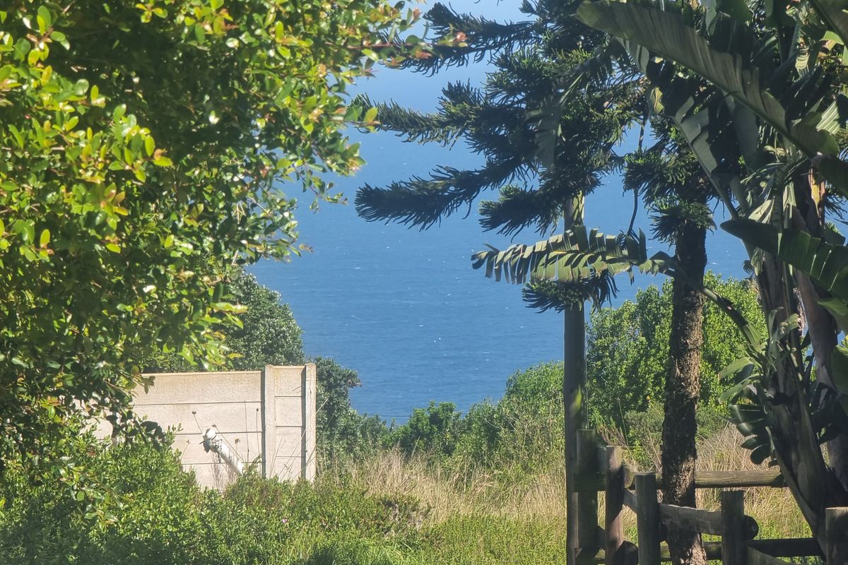 A scenic view of the ocean framed by mature trees and vegetation, featuring a precast concrete boundary wall and timber fencing on the property.