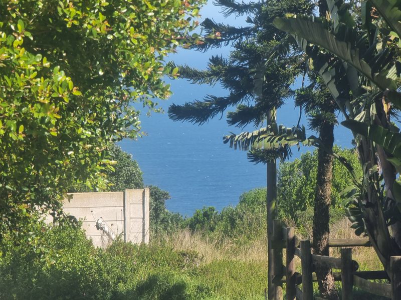 A scenic view of the ocean framed by mature trees and vegetation, featuring a precast concrete boundary wall and timber fencing on the property.