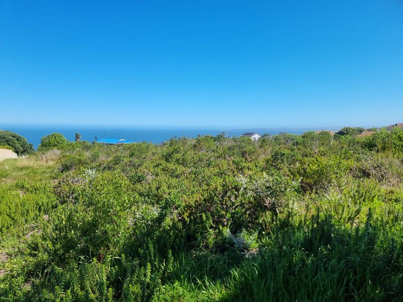 A scenic view of the coastal landscape and native vegetation from the vacant residential property.