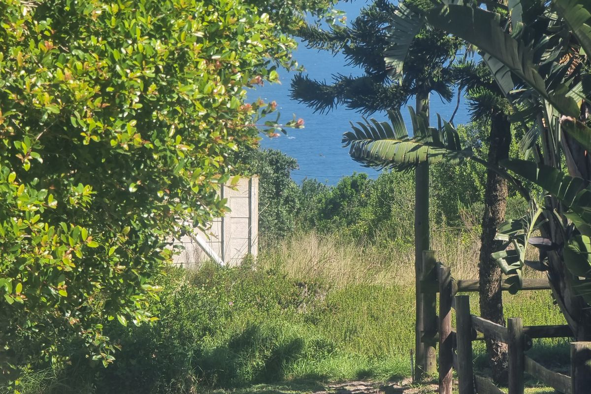 A scenic view of the ocean framed by lush coastal vegetation and timber fencing on the residential property.