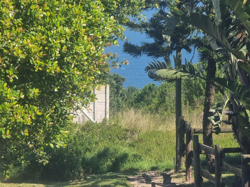 A scenic view of the ocean framed by lush coastal vegetation and timber fencing on the residential property.