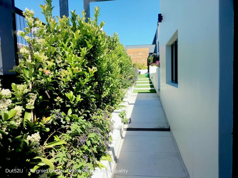 A well-maintained side walkway featuring paved paths, integrated planter boxes with lush greenery, and modern exterior lighting.