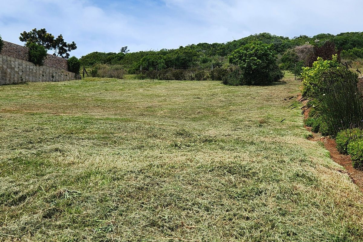 A well-maintained vacant residential plot featuring a gentle slope, established boundary retaining walls, and natural vegetation.