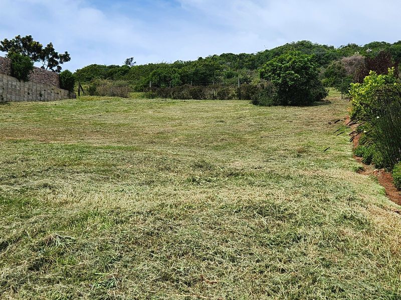 A well-maintained vacant residential plot featuring a gentle slope, established boundary retaining walls, and natural vegetation.