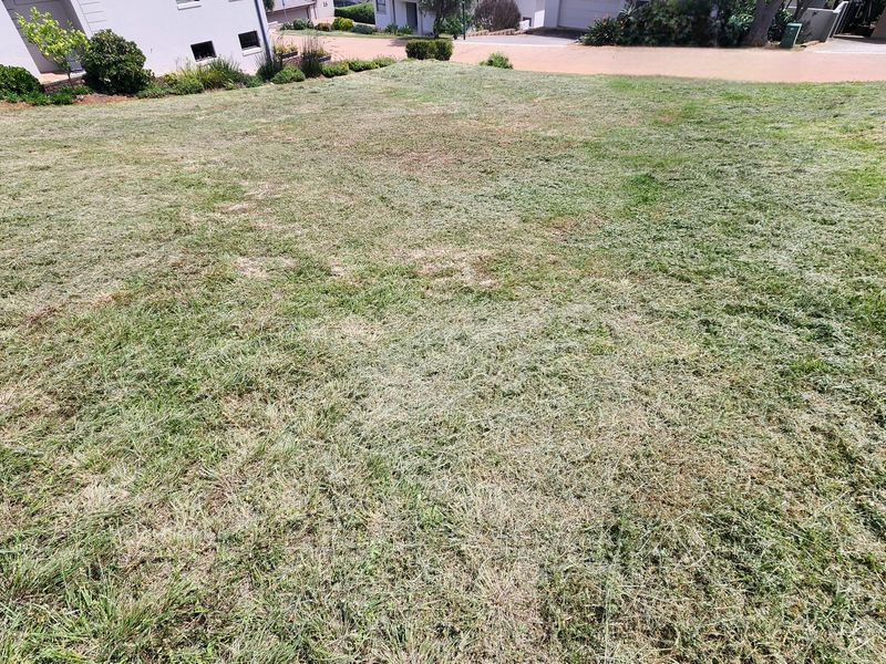 A view of a residential vacant land plot featuring a grass lawn and established garden borders.