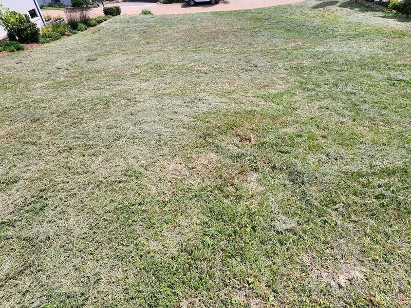 A view of a residential vacant land plot featuring a mowed lawn area and established garden borders.