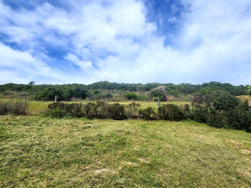 A view of a grassy residential plot featuring natural vegetation and a wire boundary fence against a backdrop of hillside shrubbery.