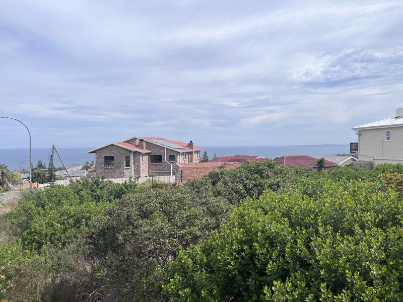 A scenic elevated view overlooking a coastal residential neighborhood with distant ocean vistas.
