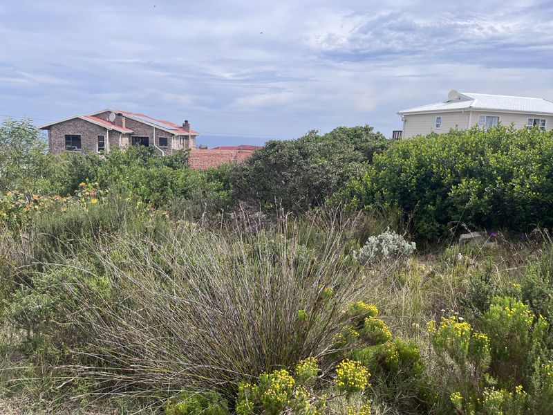 A view of the surrounding residential neighborhood and natural coastal vegetation on this vacant residential plot.