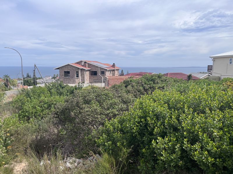A scenic view overlooking coastal vegetation with residential properties and the ocean in the background.