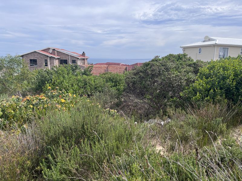 A view of the surrounding residential neighborhood and coastal landscape from the vacant residential plot.