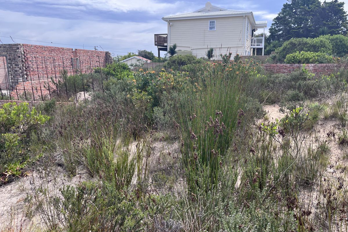 A vacant residential plot featuring overgrown natural vegetation, partial brick boundary walls, and metal fencing, situated in a residential neighborhood.